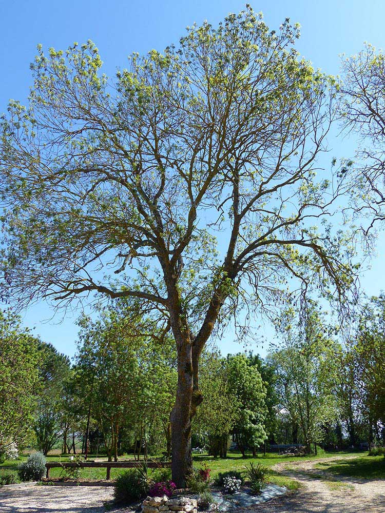 Gite d'en lebé